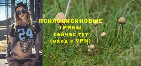 jwh Каменногорск