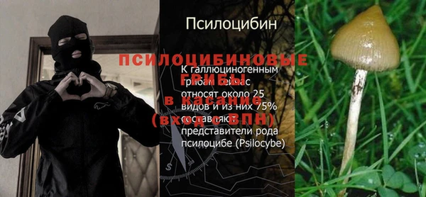 круглые Каменка