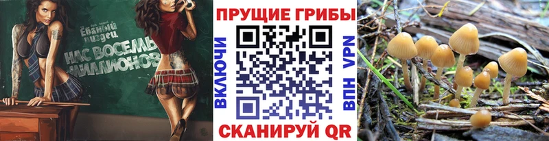 Псилоцибиновые грибы мухоморы  Купить  Аша 